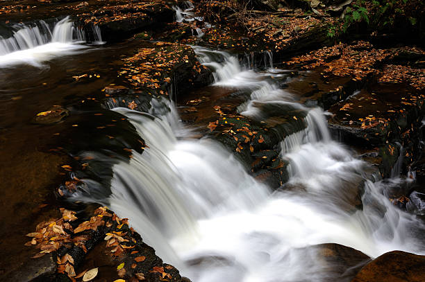 istock Scenery of Ricketts Glen State Park in Autumn 450671949