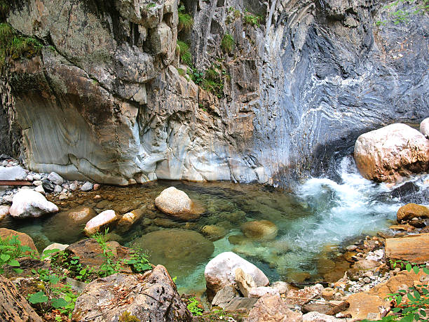 альпийский каньон - ravine canyon stream sparse стоковые фото и изображения