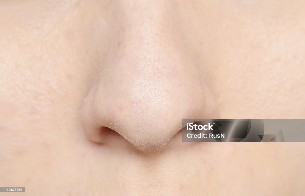 human nose macro shot of human nose Nose Stock Photo