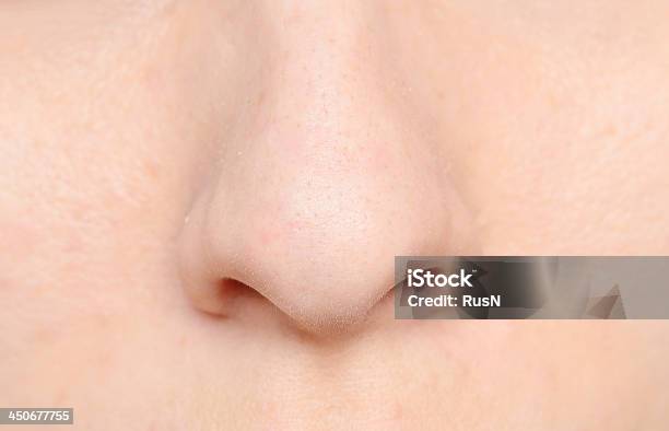 Human Nose Stock Photo - Download Image Now - Nose, Close-up, Human Nose