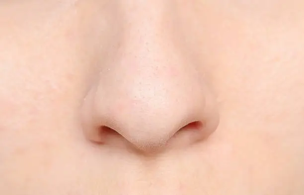 Photo of human nose