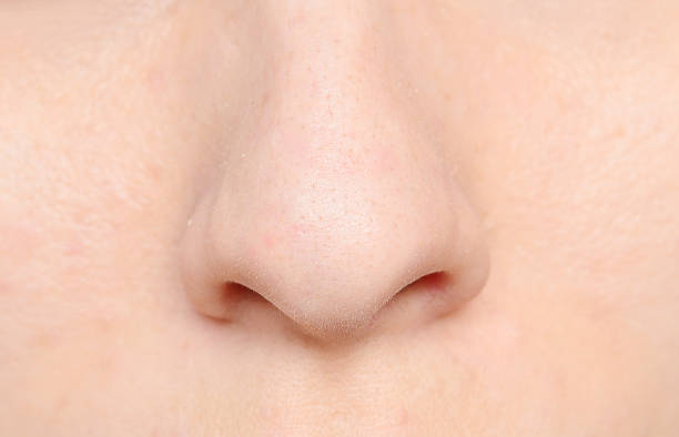 нос человека - dry skin close up horizontal macro стоковые фото и изображения