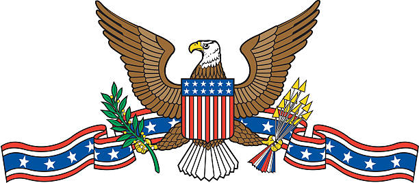 USA Emblem with Eagle A USA emblem with a bald eagle. bald eagle stock illustrations