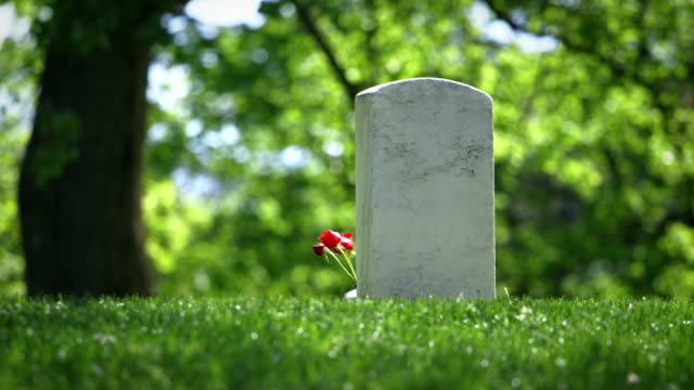 Arlington National Cemetery in Spring Single Grave with Flower