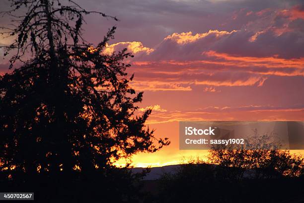 Pôr Do Sol Dramática Silhoutte - Fotografias de stock e mais imagens de Ao Ar Livre - Ao Ar Livre, Céu dramático, Fotografia - Imagem