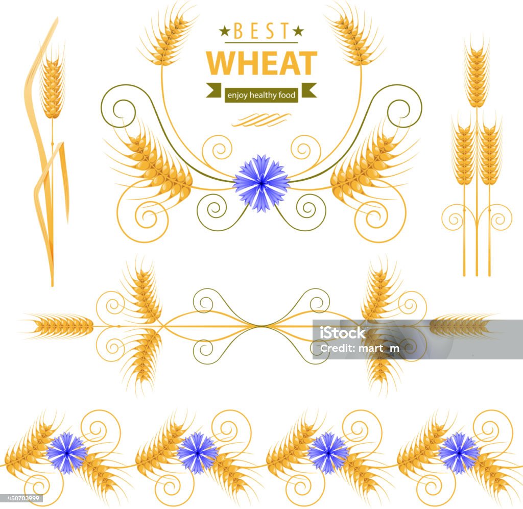 Wheat Wheat design elements set - vector. EPS 10. File contains transparences! Cornflower stock vector