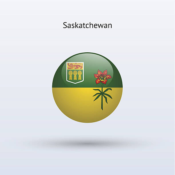 ilustraciones, imágenes clip art, dibujos animados e iconos de stock de provincia de saskatchewan bandera (canadá) - saskatchewan province canada flag