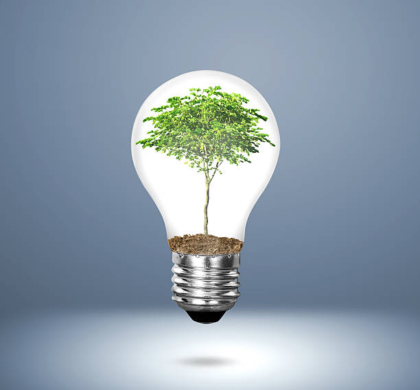 istock Incandescent light bulb with plant 450707173