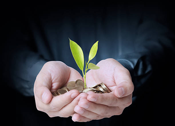 istock holding plant sprouting from a handful of coins 450707731