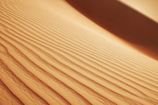 istock Rolling sand dunes of the Arabian desert 450707773