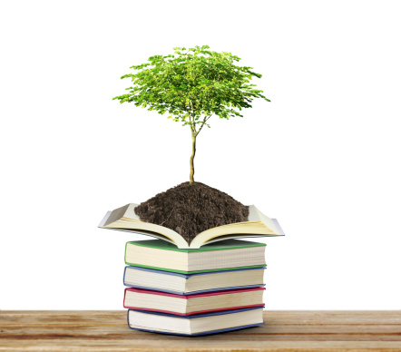 books with tree isolated on white