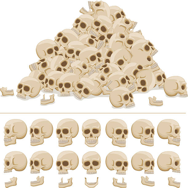 2,300+ Pile Of Skulls Stock Photos, Pictures & Royalty-Free Images