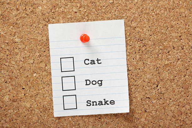 istock Cat, Dog or Snake? 450713393