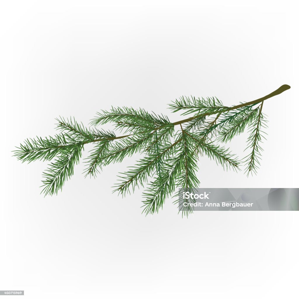 01 _christmas tree branch - arte vectorial de Abeto libre de derechos