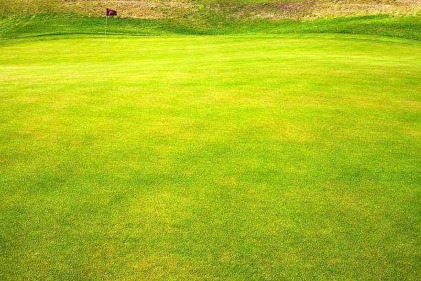 istock Green grass field of golf course 450716747