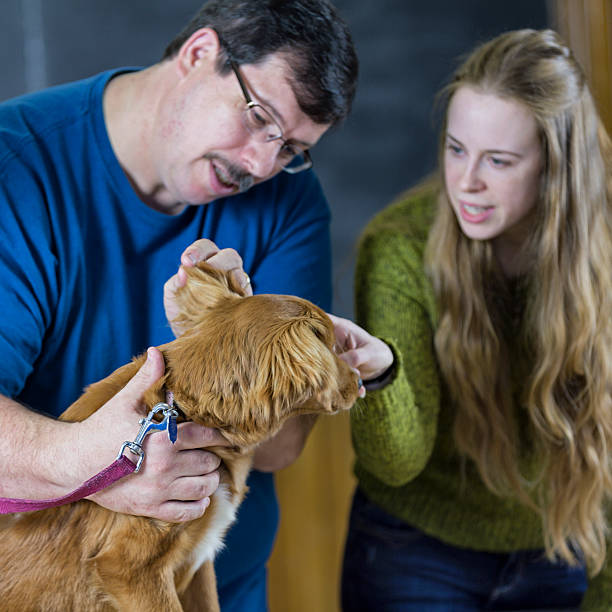 istock Dog Ear Examination At The Veterinarian 450716951
