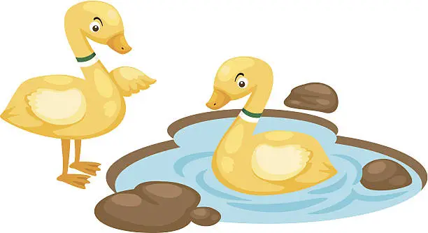 Vector illustration of duck family