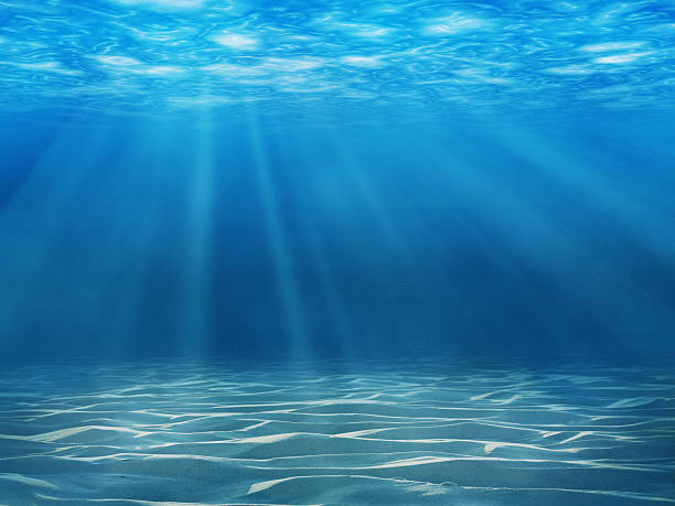 underwater scene - ocean under water stockfoto's en -beelden