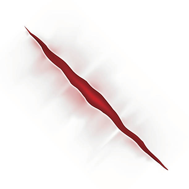 1,200+ Claws Ripping Paper Stock Photos, Pictures & RoyaltyFree Images