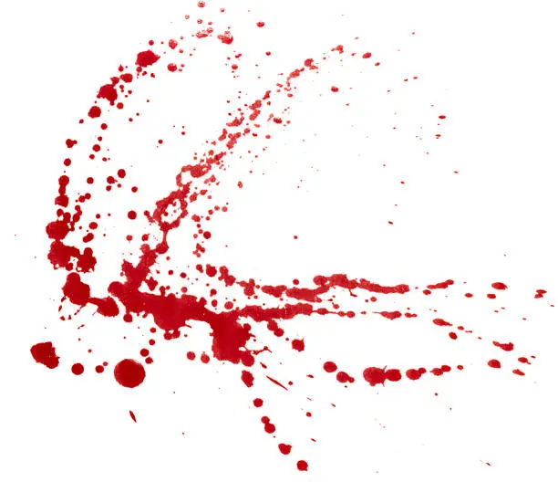 Photo of Blood splatter isolated. Clipping path.