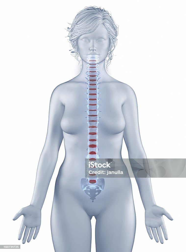 Mulher de anatomia Vértebra posição isolada - Royalty-free Adulto Foto de stock