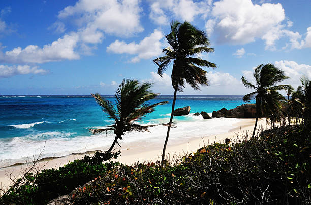 istock Tropical Beach With Palm  Trees and Waves 450739987