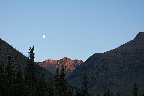 Montana's Wild Spirit