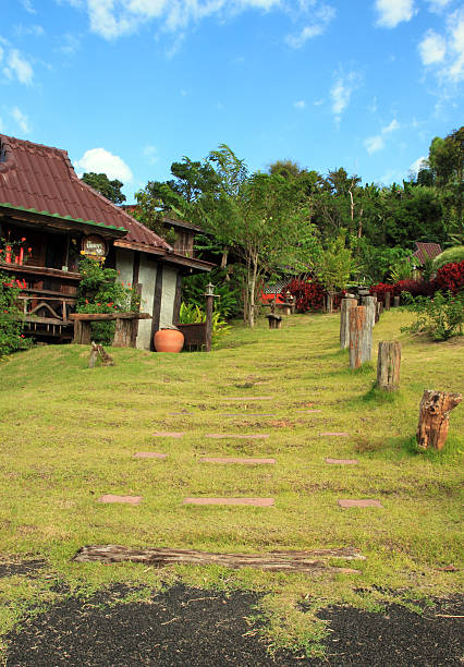 istock Stone walking in the grass at resort 450742147