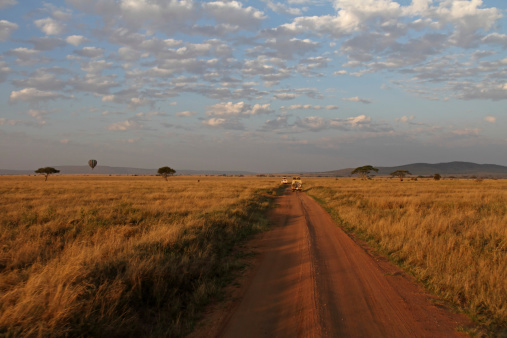 Serengeti Road y transporte photo