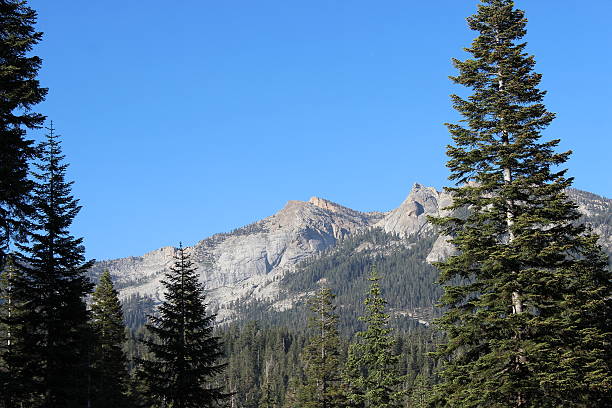 istock The Sierra Nevadas in Sequoia National Park 450753251