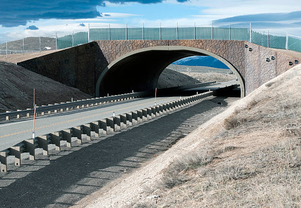 istock Bridge for wildlife constructed over highway in Nevada 450786913