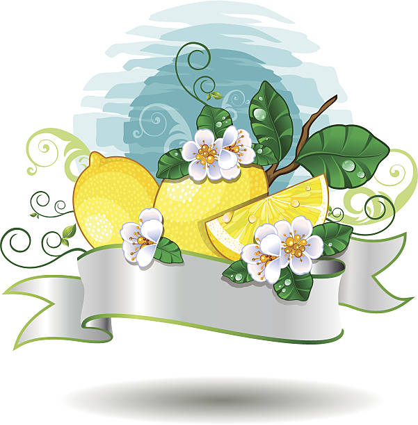 лимонный баннер - lemon fruit portion citrus fruit stock illustrations