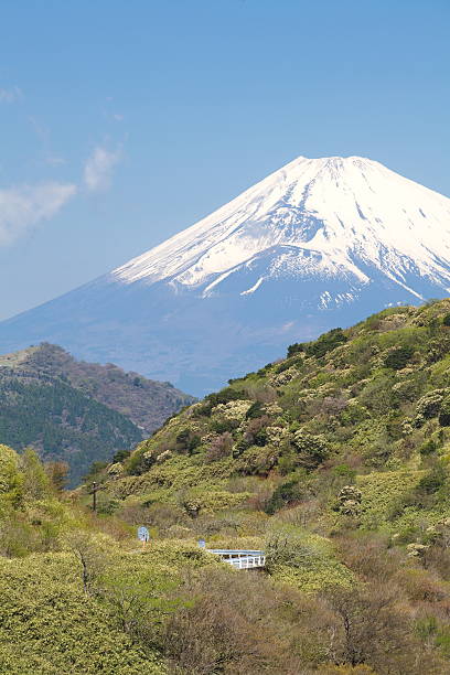 istock Mountain Fuji in spring ,Cherry blossom Sakura season 450805621