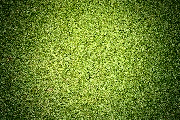 verde hierba fondo textura del campo de golf - putting green fotografías e imágenes de stock
