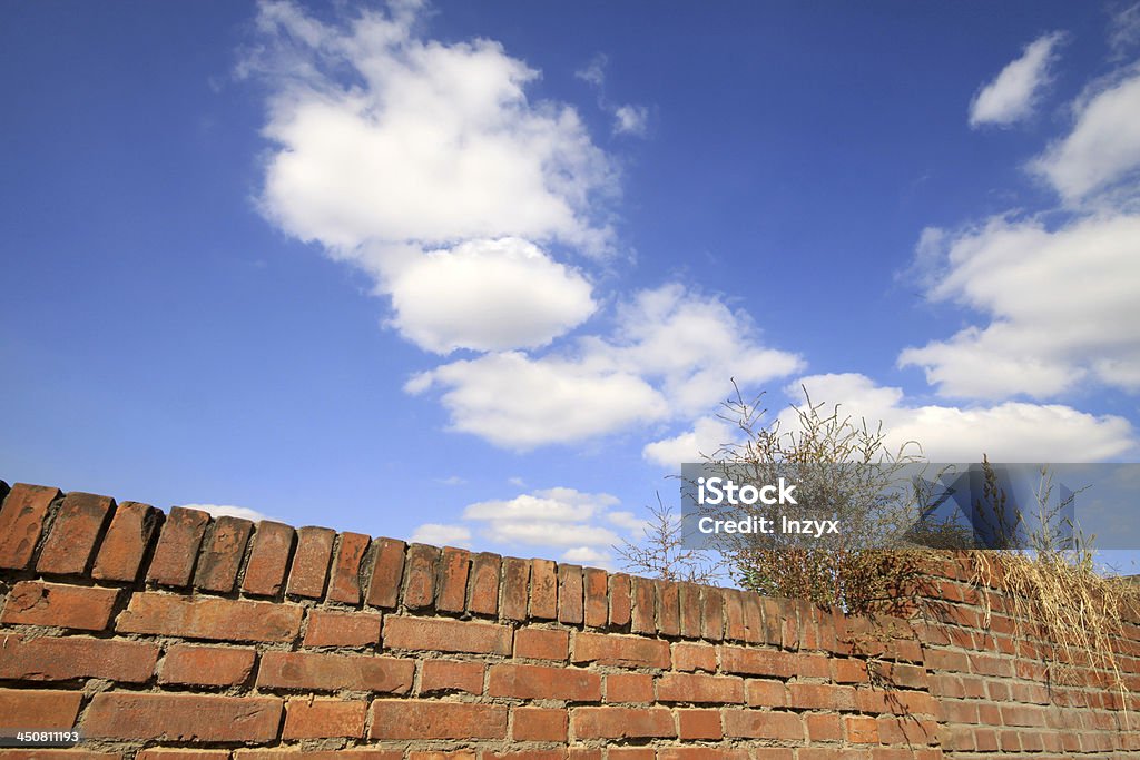 Hierba en la pared, bajo cielo azul - Foto de stock de Aire libre libre de derechos