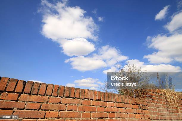 Hierba En La Pared Bajo Cielo Azul Foto de stock y más banco de imágenes de Aire libre - Aire libre, Anticuado, Azul