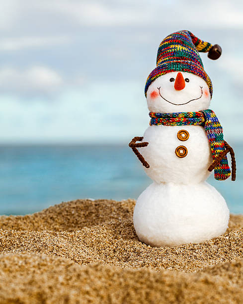 istock Felt with crochet snowman at the beach 450811839