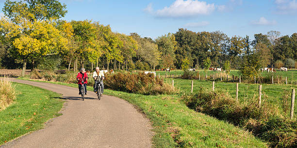 pareja senior en bicicleta - riding autumn meadow land fotografías e imágenes de stock