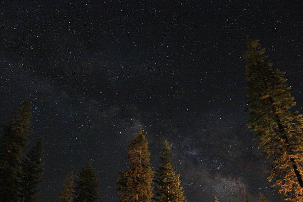 istock Milky Way over Sequoia National Park 450814895