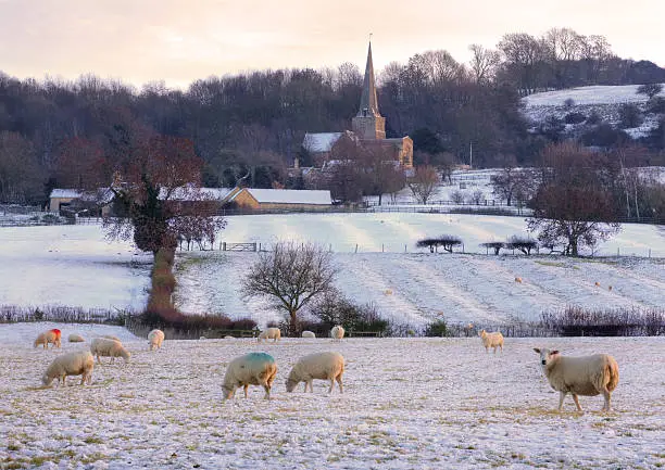 Photo of Wintertime in the Cotswolds