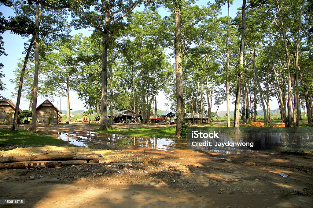 Laos paisaje de bosque - Foto de stock de Agua libre de derechos