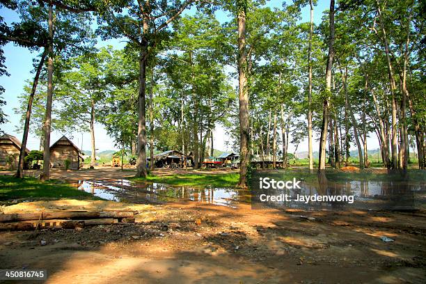 Photo libre de droit de Laos Forêt Paysage banque d'images et plus d'images libres de droit de Arbre - Arbre, Bleu, Bois