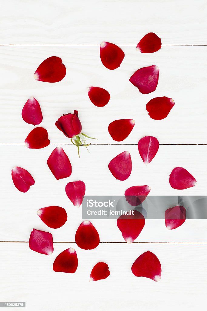 Pétalas de rosa no chão branco - Royalty-free Amor Foto de stock