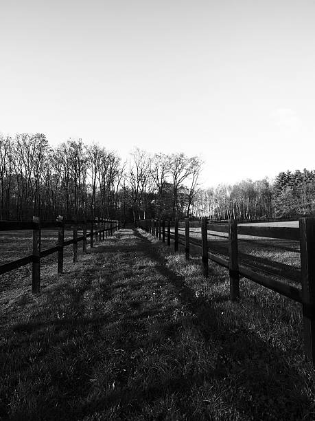 istock Paddock with country Road. Black and White 450827695