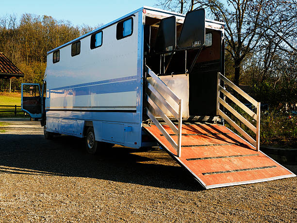 istock Horse transport. Color Image 450828959