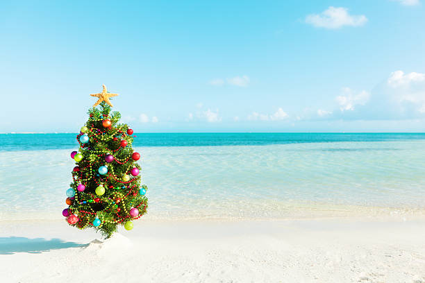 árvore de natal de férias na praia de areias brancas de paraíso tropical - christmas ornament christmas decoration multi colored large group of objects - fotografias e filmes do acervo