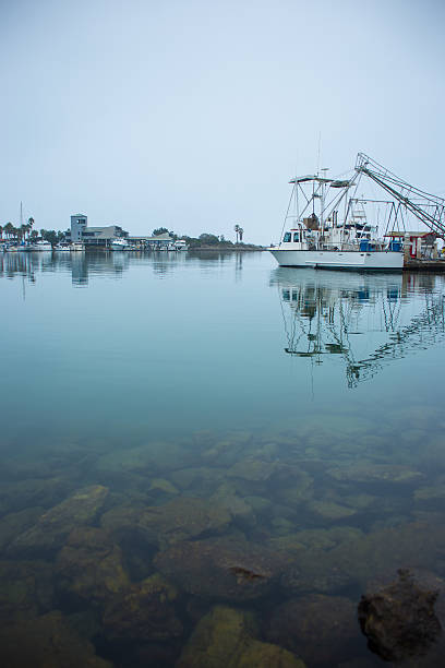 istock Boats Tied Up Dockside at the Harbor 450835963