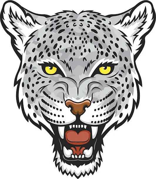 Vector illustration of Snow leopard