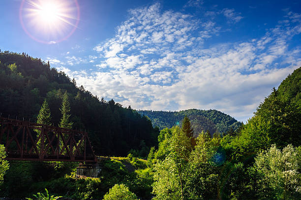 istock rail metal bridge in mountains 450839423