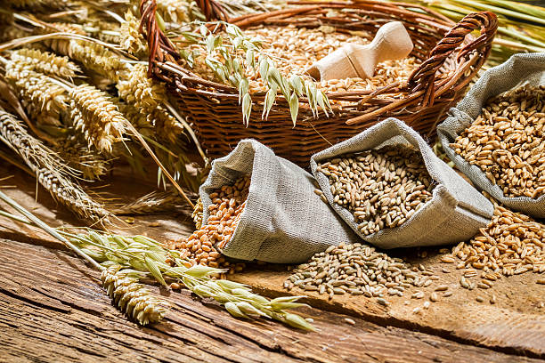 istock Different types of cereal grains with ears 450842343